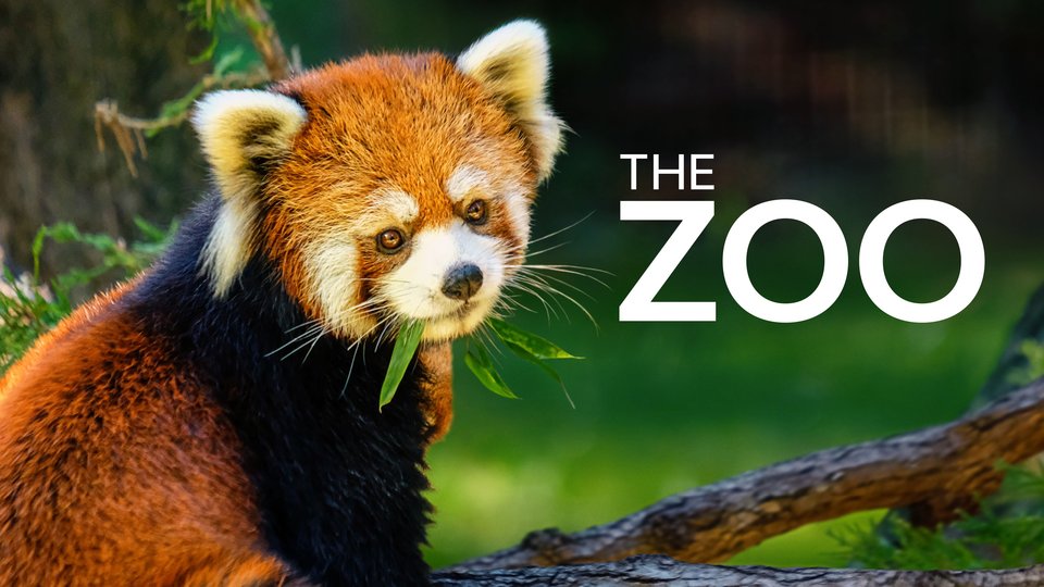 The Zoo Season 5 Release Date? Animal Renewal & Premiere 2022