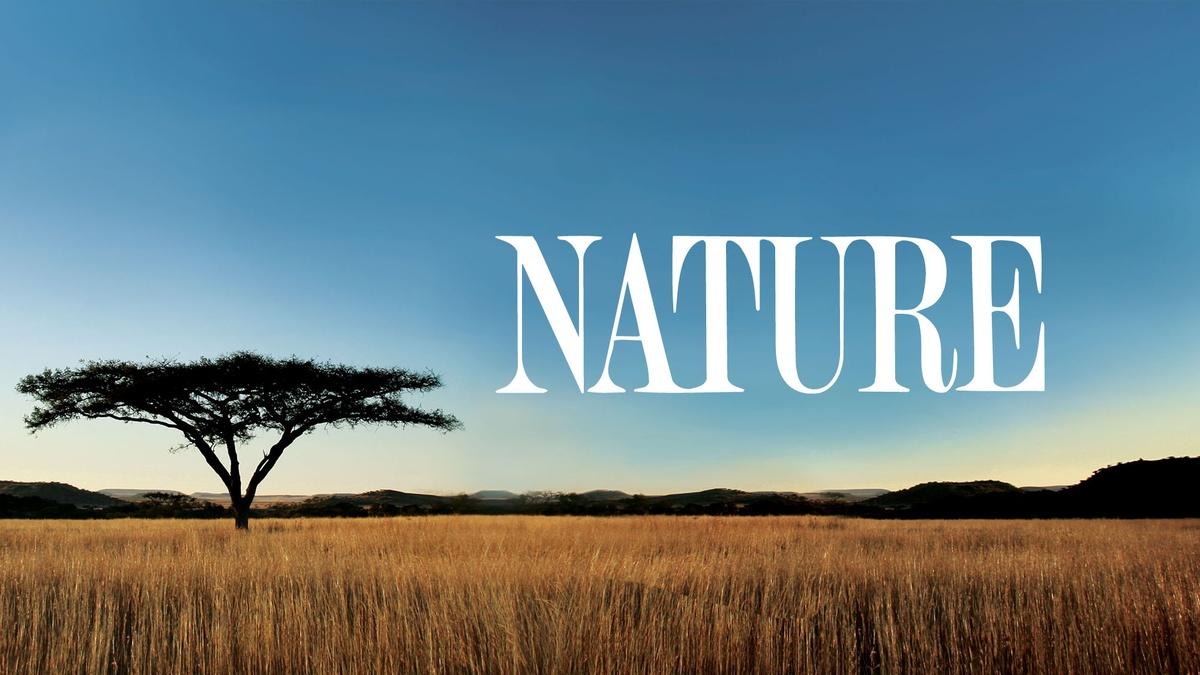 nature2